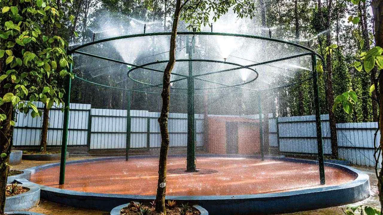 Rain Dance