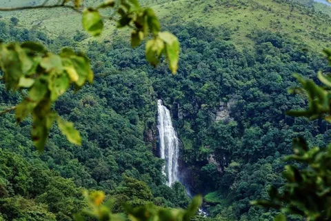 Chasing Waterfalls