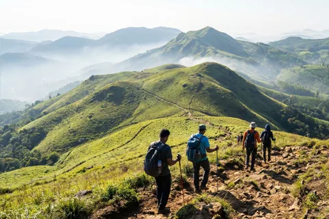 Grassland Treks