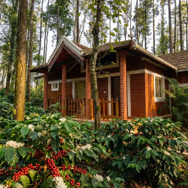 Deluxe Cottage